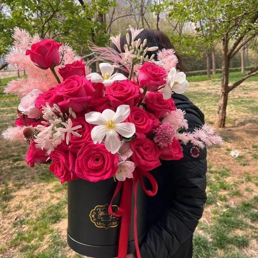 33支佛洛依德抱抱桶 商品图1