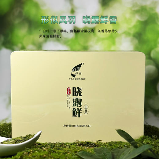 晓露鲜白茶智之春 商品图0