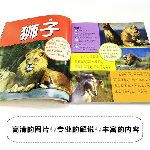 动物大百科 彩图注音版 商品图3