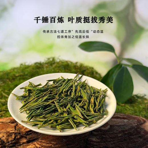 晓露鲜白茶智之春 商品图3