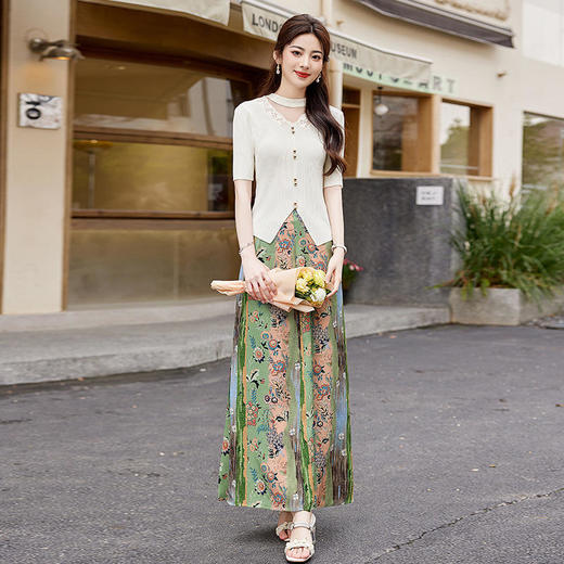 HRWY1299气质时尚法式优雅修身显瘦印花两件套裙 商品图3
