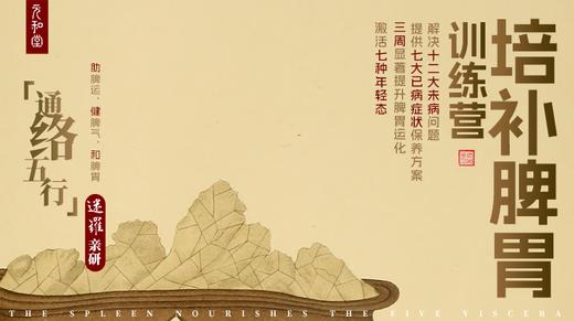 培补脾胃训练营装备复购（不含舒心杯和斡旋棒） |课程装备|直播专属|联系老师学丨元和学院 商品图0