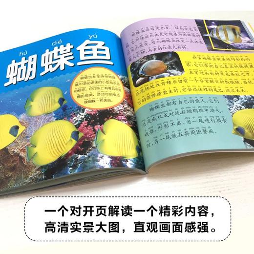 海洋大百科 彩图注音版 商品图1