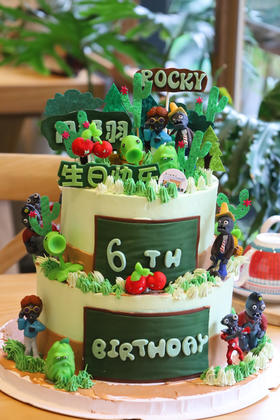 植物大战僵尸（图为8+6双层）