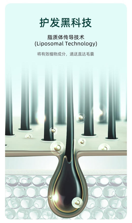 【清仓好价】Esthecin荷乐生小绿管密发精华10ml*8/盒 1盒/2盒（效期至24.10后） 商品图3