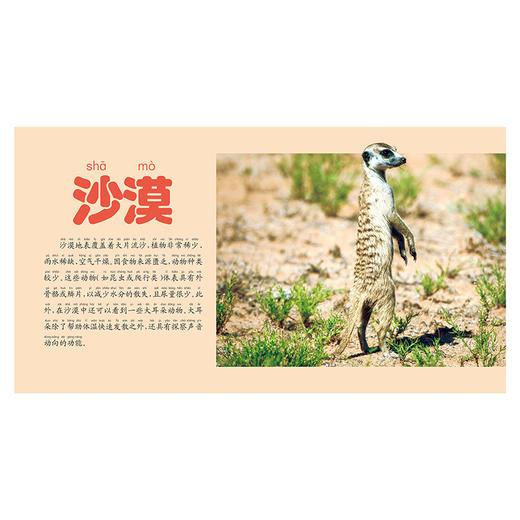 野生动物大百科 彩图注音版 商品图4