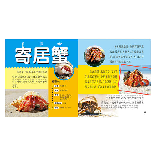 海洋动物大百科 彩图注音版 商品图2
