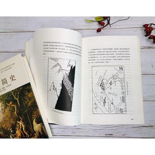 简史三部曲： 世界简史+中国简史+人类简史 商品图8