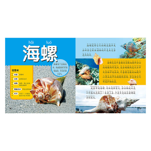 海洋动物大百科 彩图注音版 商品图1