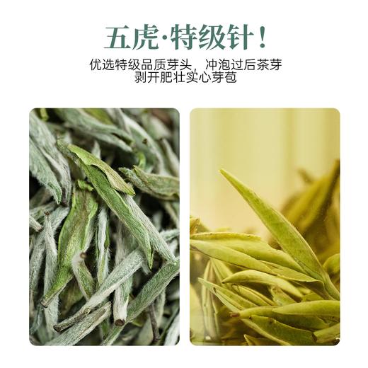 【年货】茶叶 白毫银针 白茶 春茶 福鼎白茶  茶饮 五虎 20g(10天装) 商品图3
