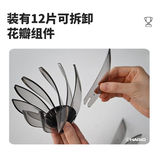 【HARIO】V60睡莲滤杯12片睡莲花瓣可拆卸清洗替换VDSU 商品图2