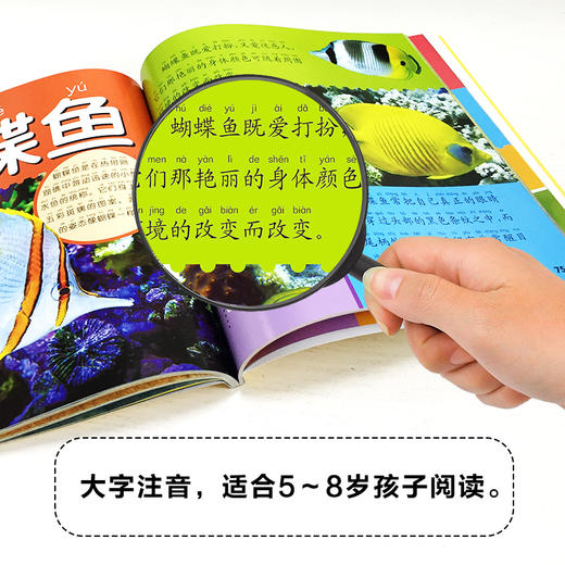 动物大百科 彩图注音版 商品图2