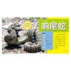 野生动物大百科 彩图注音版 商品缩略图2