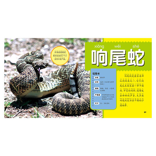 野生动物大百科 彩图注音版 商品图2