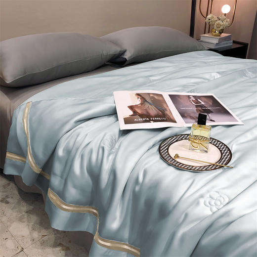 【特价239元起】【门店同款】高端臻丝80支莱赛尔天丝夏被  丝滑凉感夏凉被 商品图7