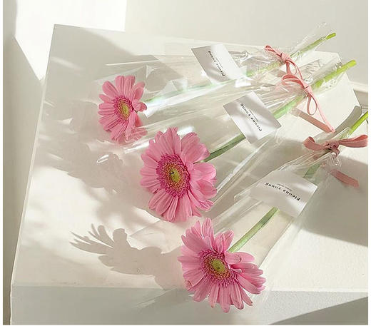 C1【透明玻璃纸】薄厚玻璃纸/60/70玻璃卷/全尺寸/实惠装 商品图9