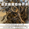 森林乔木-2024年易武传统麻黑散茶-250克 商品缩略图0