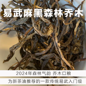 森林乔木-2024年易武传统麻黑散茶-250克