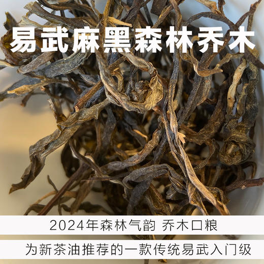 森林乔木-2024年易武传统麻黑散茶-250克 商品图0