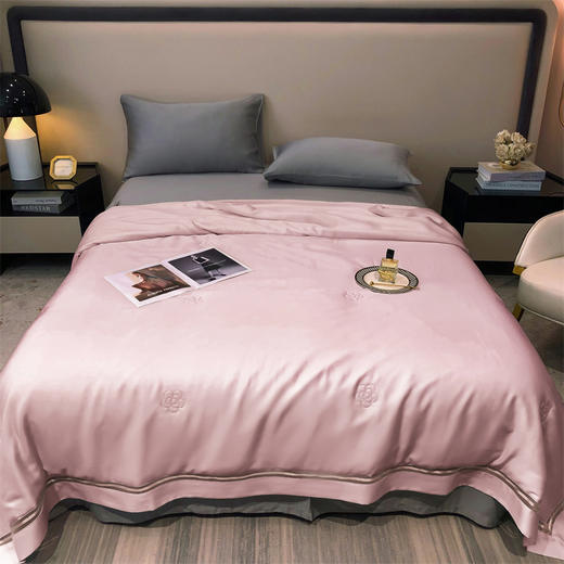 【特价239元起】【门店同款】高端臻丝80支莱赛尔天丝夏被  丝滑凉感夏凉被 商品图14