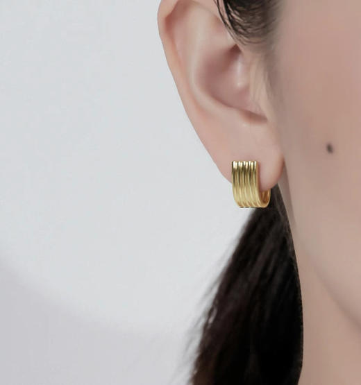 永恒耳饰 商品图2