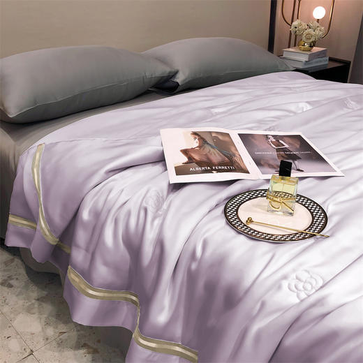 【特价239元起】【门店同款】高端臻丝80支莱赛尔天丝夏被  丝滑凉感夏凉被 商品图4