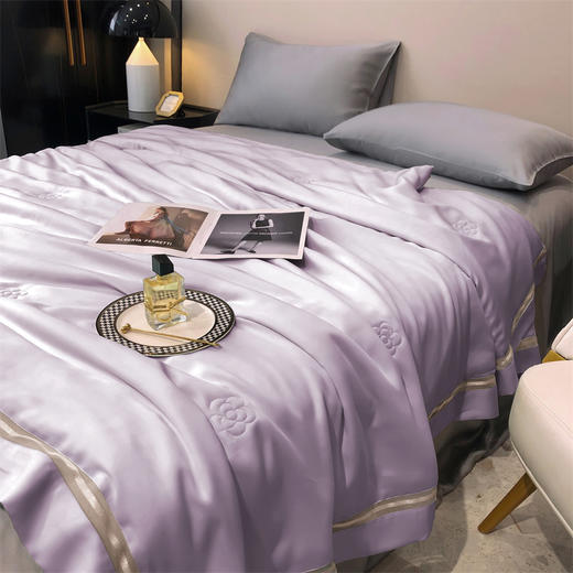 【特价239元起】【门店同款】高端臻丝80支莱赛尔天丝夏被  丝滑凉感夏凉被 商品图1