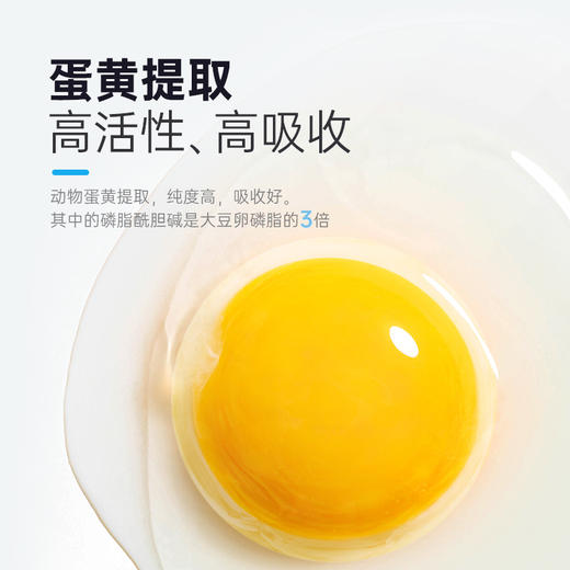 【第二件“半价”】雷米高多维鱼油卵磷脂宠物鱼油复合维生素宠物猫咪狗狗专用100g 商品图2