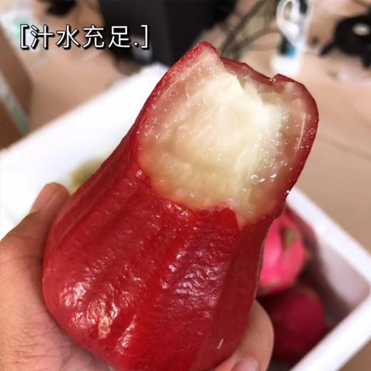 海南黑金刚莲雾450g /份  |水果 商品图2
