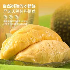 【猫山王冷冻榴莲果肉】榴莲鲜果 果香浓郁 回味无穷