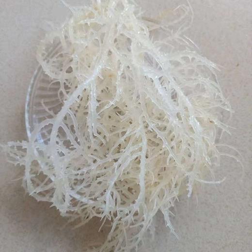 【夏季家家必备凉拌龙须菜】当季新货淡干龙须菜晶莹剔透，脆嫩爽口营养丰富，石花菜鹿角菜凉拌菜半干素菜海石花海藻干货QQ 商品图4