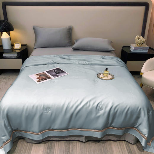 【特价239元起】【门店同款】高端臻丝80支莱赛尔天丝夏被  丝滑凉感夏凉被 商品图10