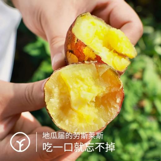 海南正宗桥头地瓜 | 谷物粗粮 商品图1