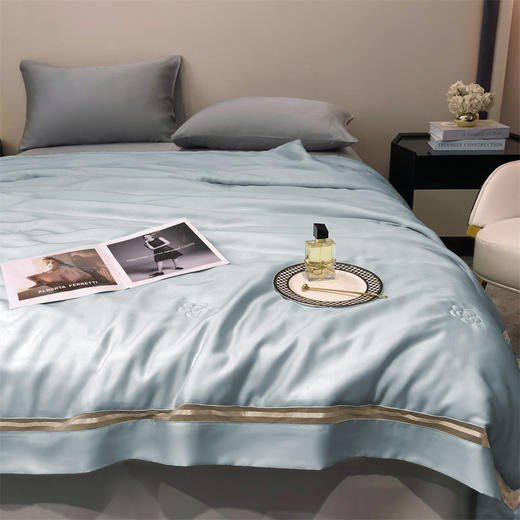 【特价239元起】【门店同款】高端臻丝80支莱赛尔天丝夏被  丝滑凉感夏凉被 商品图6