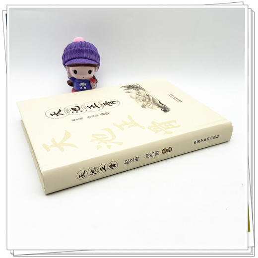 天池正骨 赵文海 冷向阳 主编 中国中医药出版社 中医骨伤科学 临床 书籍 商品图3