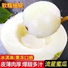 【蜜瓜界女神！梦露流星小甜瓜】冰淇淋口感，皮薄肉厚，爆甜多汁！产地现摘现发，香甜可口， 商品缩略图1