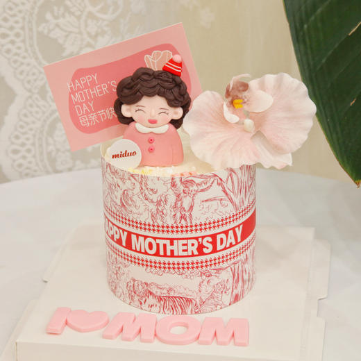 母亲节妈妈粉色蝴蝶兰 商品图1