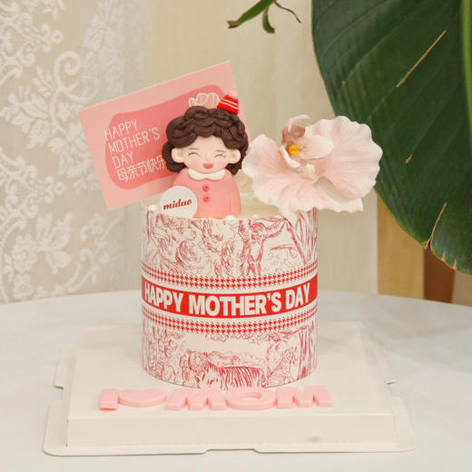 母亲节妈妈粉色蝴蝶兰 商品图0