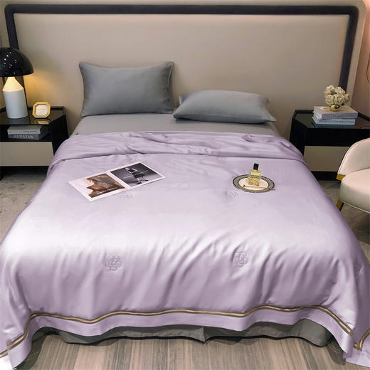 【特价239元起】【门店同款】高端臻丝80支莱赛尔天丝夏被  丝滑凉感夏凉被 商品图5