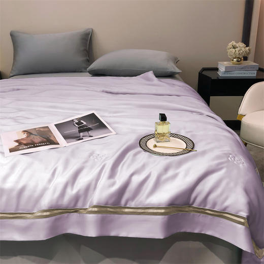 【特价239元起】【门店同款】高端臻丝80支莱赛尔天丝夏被  丝滑凉感夏凉被 商品图0