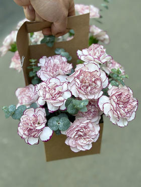 母亲节牛皮手提礼盒 高26厘米宽40厘米