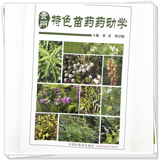贵州特色苗药药动学 黄勇 巩仔鹏 主编 中国中医药出版社 商品图4