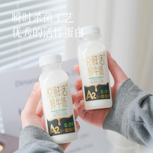 预售3-5天【福利价69.9元10瓶A2低温鲜牛奶 】【悦鲜活】营养高、口感香醇浓厚，都是最新日期，短保19天，收到后建议第一时间冷藏~ 商品图3