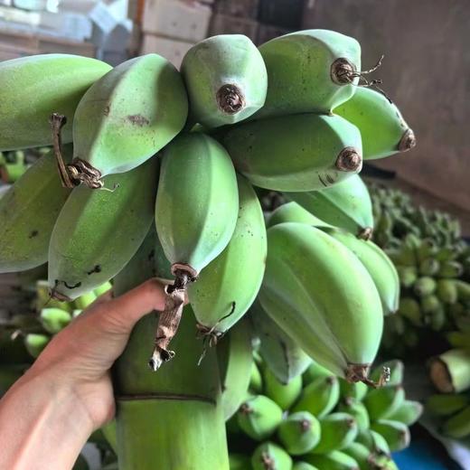 【禁止蕉虑❗️办公室水培小香蕉】下单送卡片，办公室创意搞怪水培小香蕉，新鲜连果插花绿植 商品图3