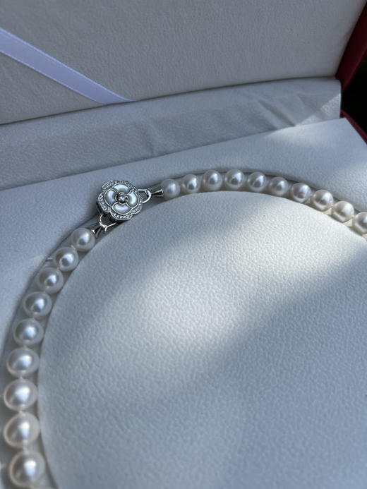 55-2母亲节现货秒发 山茶花海贝纯银扣 9-10mm强光正圆淡水珍珠项链 商品图2