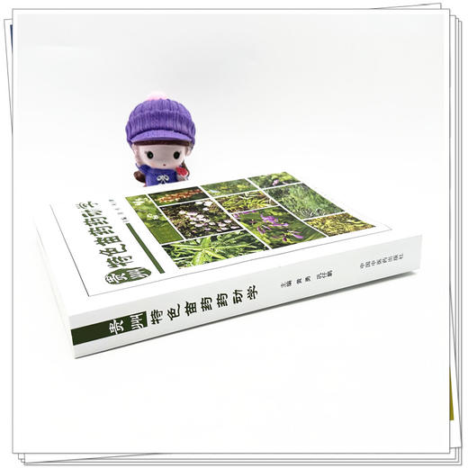 贵州特色苗药药动学 黄勇 巩仔鹏 主编 中国中医药出版社 商品图3