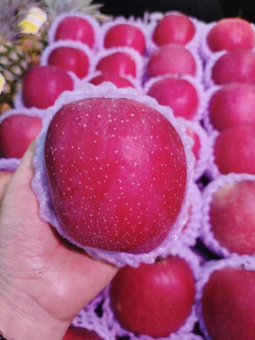 红香妃苹果2斤 商品图1