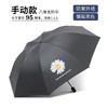 【轻盈若羽，清新雏菊，GD同款系小雏菊印花伞】全自动雨伞小雏菊 太阳伞自动伞 防晒防紫外线两用晴雨伞-QQ 商品缩略图7
