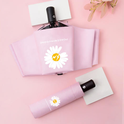 【轻盈若羽，清新雏菊，GD同款系小雏菊印花伞】全自动雨伞小雏菊 太阳伞自动伞 防晒防紫外线两用晴雨伞-QQ 商品图5