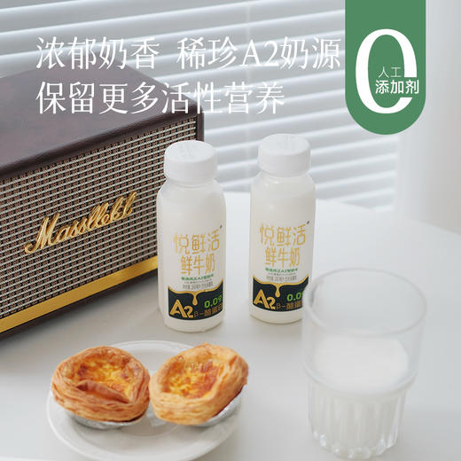 预售3-5天【福利价69.9元10瓶A2低温鲜牛奶 】【悦鲜活】营养高、口感香醇浓厚，都是最新日期，短保19天，收到后建议第一时间冷藏~ 商品图0